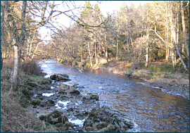 River Nairn Salmon and Sea Trout Fishing