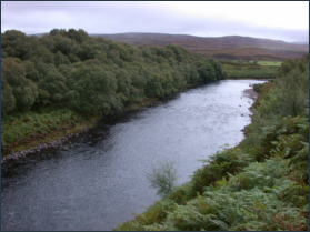 Salmon Fishing on the River Naver