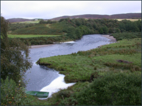 Naver Salmon Fishing