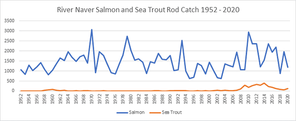 River Naver Salmon Catches