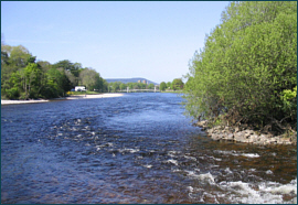 River Ness - salmon and sea trout fishing