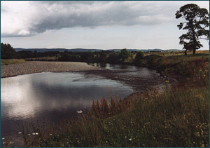 River Nith near Thornhill