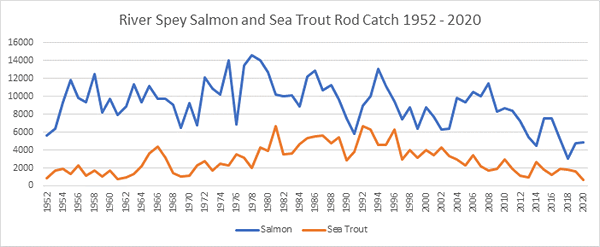 River Spey Salmon Catches