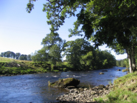 Sea Trout River