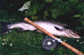 Salmon Fishing Scottish Islands