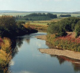salmon fishing river in Scotland