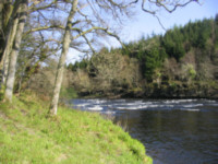 salmon fishing  in Scotland