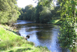 Salmon Fishing Central Scotland