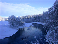 Winter on the Spey