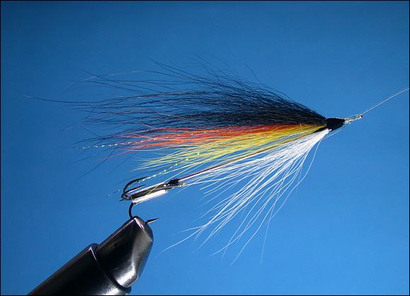 Attaching the Salmon Needle Fly 