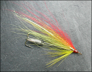 Salmon Needle Fly