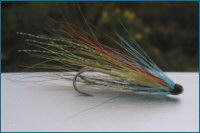 Needle Tube Fly - Munro