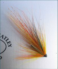 SALMON FLY