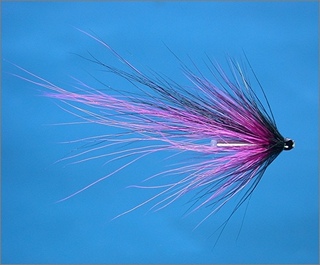Magus Scottish Shrimp Needle Tube Fly
