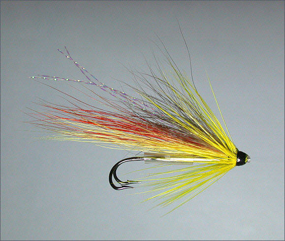 Spey Shrimp with tube fly double hook