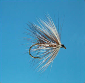 Bushy Sea Trout Fly