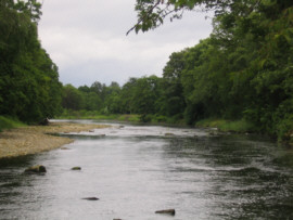 Sea Trout Fishing South Scotland