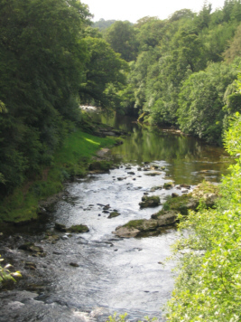 Scottish salmon and sea trout fishing - Border Esk