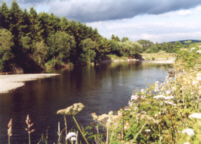 Sea Trout Fishing 