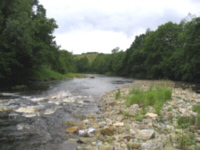 Trout Fishing 
