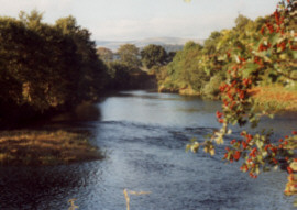 Trout Fishing Central Scotland