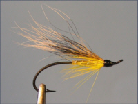 Golden Squirrel - Sea Trout Fly