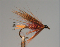 Mallard and Claret - Sea Trout Fly