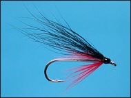 Sea Trout Single Fly