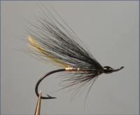 Silver Stoat - Sea Trout Fly