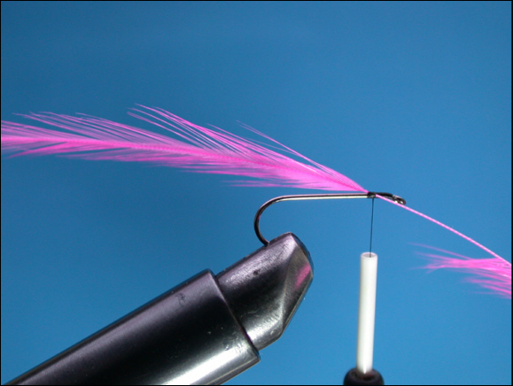 Sea Trout Black & Pink Fly - step 2