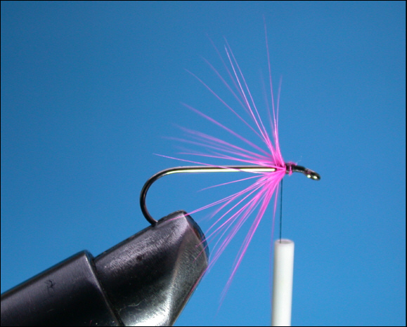 Sea Trout Black & Pink Fly  -  step 3