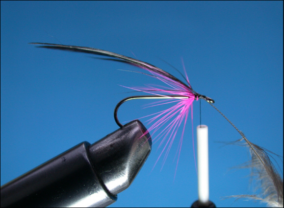 Sea Trout Black & Pink Fly  -  step 4