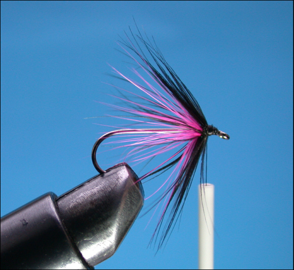 Sea Trout Black & Pink Fly -  step 5