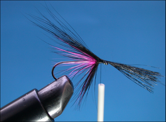 Sea Trout Black & Pink Fly -  step 6