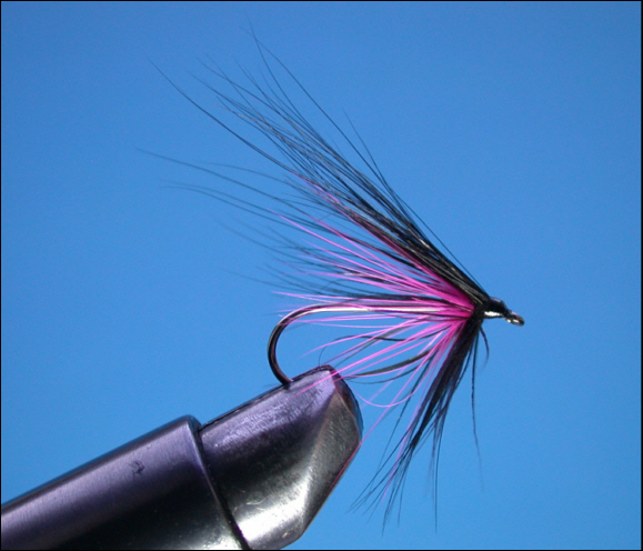Sea Trout Black & Pink Fly -  step 7