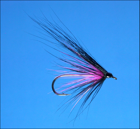Sea Trout Fly