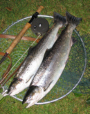 Sea Trout Fishing Tackle