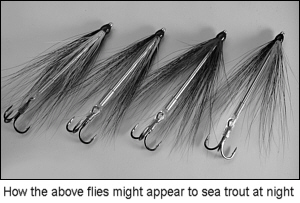 Sea Trout Tube flies by night