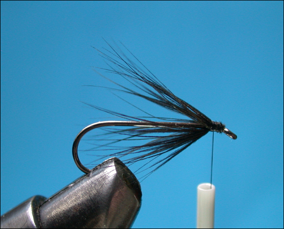 Simple Sea Trout Fly - step 3