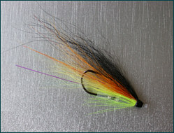 salmon tube fly with single up facing hook