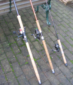 salmon spinning rods