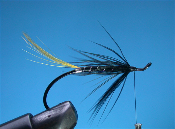 Stoat's Tail Salmon Fly - Step 4