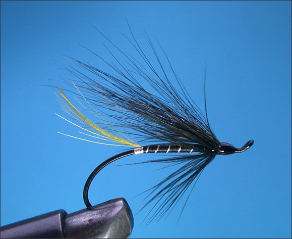 The Stoat's Tail Salmon Fly