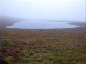 trout fishing in Sutherland