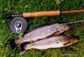 Trout Fishing North Scotland