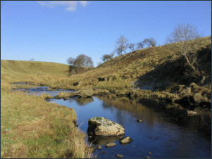 trout fishing river in Scotland