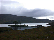 Trout Fishing in Assynt