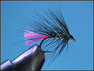 Trout Loch Fly