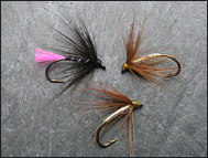 Loch Trout Spiders