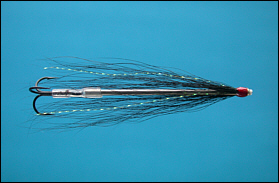 Gray's needle Tube Fly